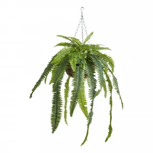 Boston Fern Hanging Bowl 56x100cm in Green/Natural by OzDesignFurniture, a Plants for sale on Style Sourcebook