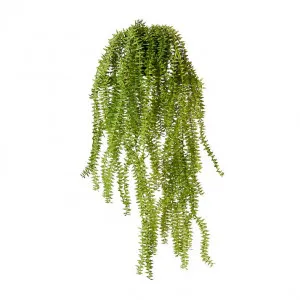 Sawtooth Hanging Plant-Garden Pot - 13 x 25 x 70cm by null, a Plants for sale on Style Sourcebook