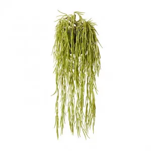 Wax  Vine Hanging-Garden Pot - 12 x 12 x 17cm by null, a Plants for sale on Style Sourcebook