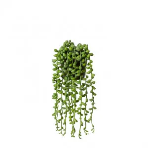 String of Pearls Angel Tears Hanging-Garden Pot - 15 x 15 x 30cm by null, a Plants for sale on Style Sourcebook