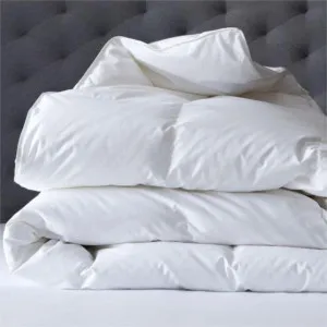Renee Taylor Deluxe High Loft Microfibre 600GSM Quilt by null, a Quilts & Bedspreads for sale on Style Sourcebook