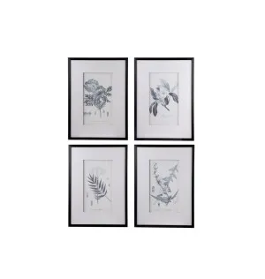 Flora &amp; Fauna Framed Prints Wall Art 4 Piece Set 70cm x 50cm by Luxe Mirrors, a Prints for sale on Style Sourcebook