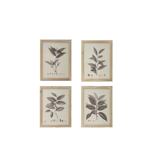 Botanical Leaves Décor Wall Art 53cm x 40cm by Luxe Mirrors, a Prints for sale on Style Sourcebook