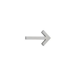 Arrow Sign - 60mm - Stainless Steel by ABI Interiors Pty Ltd, a Outdoor Accessories for sale on Style Sourcebook