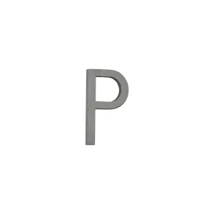 P Letter - 60mm - Brushed Gunmetal by ABI Interiors Pty Ltd, a Outdoor Accessories for sale on Style Sourcebook