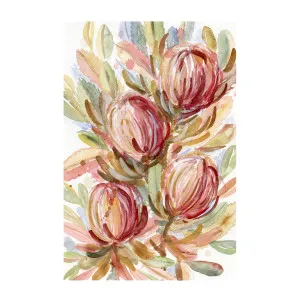 Banksia Bunch by Gioia Wall Art, a Prints for sale on Style Sourcebook