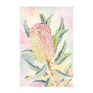 Pastel Banksia by Gioia Wall Art, a Prints for sale on Style Sourcebook