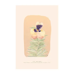 Pastel Pansy by Gioia Wall Art, a Prints for sale on Style Sourcebook