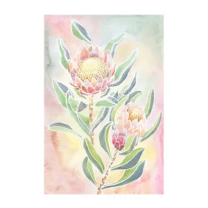 Pastel Proteas by Gioia Wall Art, a Prints for sale on Style Sourcebook
