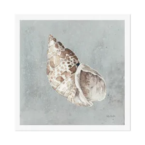 Sand And Seashells, Style B by Gioia Wall Art, a Prints for sale on Style Sourcebook