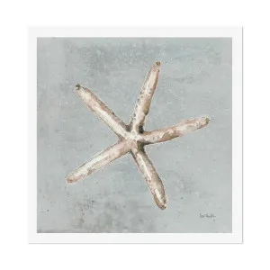 Sand And Seashells, Style C by Gioia Wall Art, a Prints for sale on Style Sourcebook