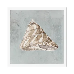 Sand And Seashells, Style E by Gioia Wall Art, a Prints for sale on Style Sourcebook