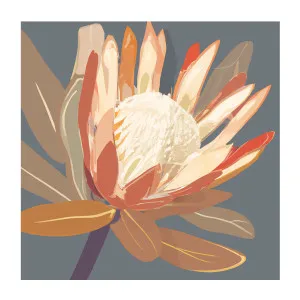 Augusta Slate Protea by Gioia Wall Art, a Prints for sale on Style Sourcebook