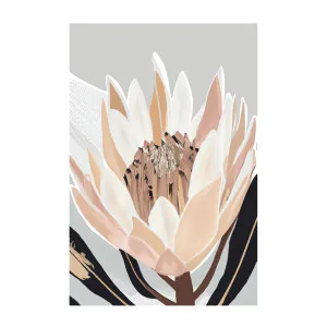 Cream Silver Protea by Gioia Wall Art, a Prints for sale on Style Sourcebook