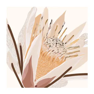 Plume Bloom by Gioia Wall Art, a Prints for sale on Style Sourcebook