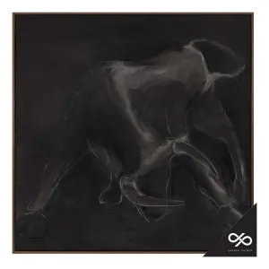 Contours Box Framed Canvas in 93 x 93cm by OZ Design, a Painted Canvases for sale on Style Sourcebook