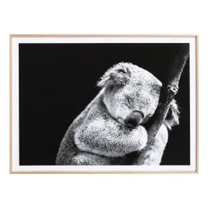Sleepy Koala Framed Print in 62 x 44cm by OZ Design, a Prints for sale on Style Sourcebook