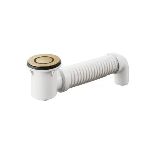 Bath Bend Pop Down with Connector - Brushed Gold by ABI Interiors Pty Ltd, a Traps & Wastes for sale on Style Sourcebook
