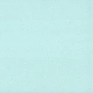 Sanded Mint (SM463) by Staron, a Solid Surfaces for sale on Style Sourcebook