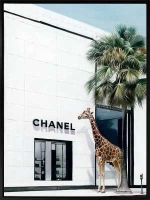 Rodeo Drive Canvas Art Print by Urban Road, a Prints for sale on Style Sourcebook