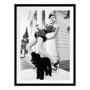 Posing Poodle Framed Print in 84 x 105cm by OZ Design, a Prints for sale on Style Sourcebook