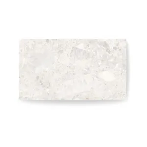 Robusta Ivory Matt 300×600 (P3) by Groove Tiles and Stone, a Terrazzo Look Tiles for sale on Style Sourcebook