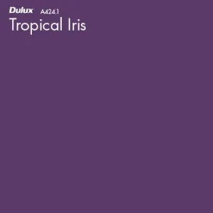 Tropical Iris by Dulux, a Purples and Pinks for sale on Style Sourcebook