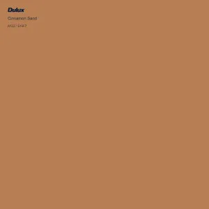 Cinnamon Sand by Dulux, a Connect for sale on Style Sourcebook
