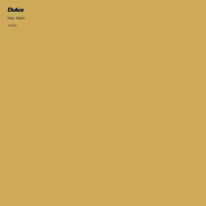Hay Wain by Dulux, a Yellows for sale on Style Sourcebook