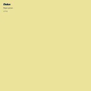 Ripe Lemon by Dulux, a Yellows for sale on Style Sourcebook