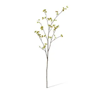 Elm Seeding Spray - 30 x 25 x 107cm by null, a Plants for sale on Style Sourcebook