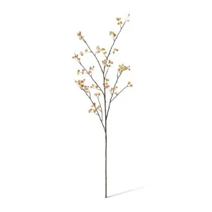 Elm Seeding Spray - 30 x 25 x 107cm by null, a Plants for sale on Style Sourcebook