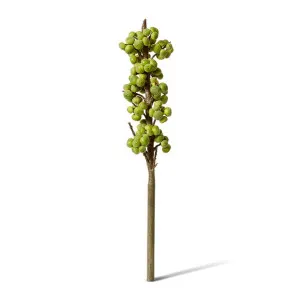 Fig Branch - 20 x 20 x 91cm by null, a Plants for sale on Style Sourcebook