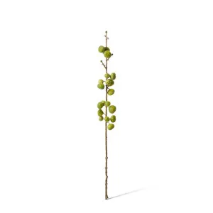 Fig Stem - 15 x 15 x 74cm by null, a Plants for sale on Style Sourcebook