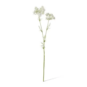 Queen Anne Lace Spray - 15 x 8 x 67cm by null, a Plants for sale on Style Sourcebook
