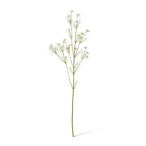 Queen Anne Lace Wild Spray - 33 x 28 x 76cm by null, a Plants for sale on Style Sourcebook