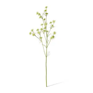Queen Anne Lace Wild Spray - 33 x 28 x 76cm by null, a Plants for sale on Style Sourcebook