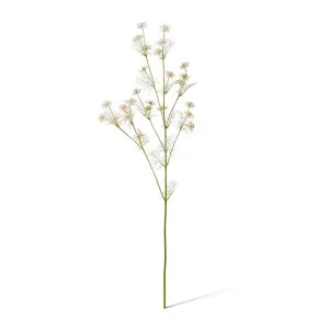 Queen Anne Lace Wild Spray - 33 x 28 x 76cm by null, a Plants for sale on Style Sourcebook