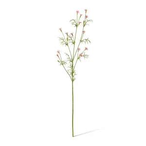 Campanula Spray - 30 x 26 x 70cm by null, a Plants for sale on Style Sourcebook