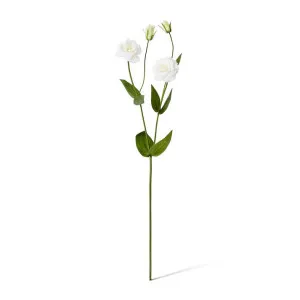 Lisianthus Spray - 30 x 15 x 67cm by null, a Plants for sale on Style Sourcebook