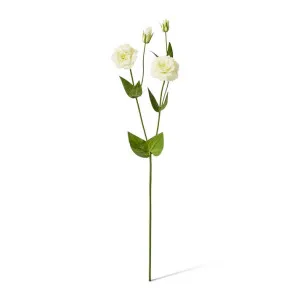 Lisianthus Spray - 30 x 15 x 67cm by null, a Plants for sale on Style Sourcebook