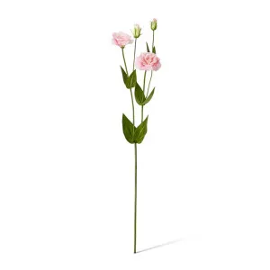 Lisianthus Spray - 30 x 15 x 67cm by null, a Plants for sale on Style Sourcebook