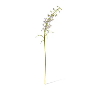 Delphinium Mini Stem - 28 x 14 x 70cm by null, a Plants for sale on Style Sourcebook