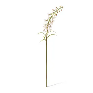 Delphinium Mini Stem - 28 x 14 x 70cm by null, a Plants for sale on Style Sourcebook
