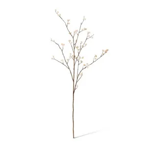 Pom Pom Spray - 41 x 26 x 105cm by null, a Plants for sale on Style Sourcebook