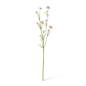 Cosmos Spray - 28 x 20 x 63cm by null, a Plants for sale on Style Sourcebook