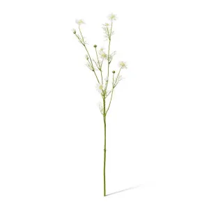 Cosmos Spray - 28 x 20 x 63cm by null, a Plants for sale on Style Sourcebook