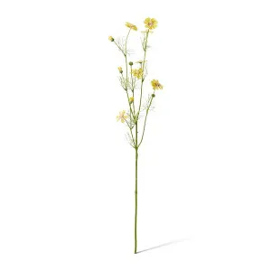 Cosmos Spray - 28 x 20 x 63cm by null, a Plants for sale on Style Sourcebook