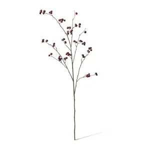 Berry Branch - 45 x 36 x 105cm by null, a Plants for sale on Style Sourcebook