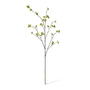 Berry Branch - 45 x 36 x 105cm by null, a Plants for sale on Style Sourcebook